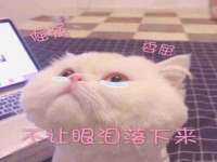 淮安春之宇网络科技有限公司
