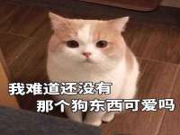 淮安春之宇网络科技有限公司