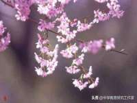 淮安春之宇网络科技有限公司