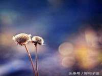 淮安春之宇网络科技有限公司