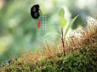 淮安春之宇网络科技有限公司