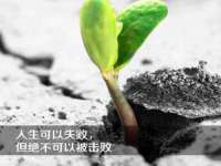 淮安春之宇网络科技有限公司