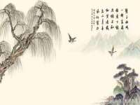淮安春之宇网络科技有限公司
