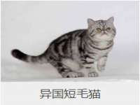 淮安春之宇网络科技有限公司