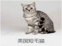 淮安春之宇网络科技有限公司