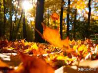 淮安春之宇网络科技有限公司