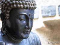 淮安春之宇网络科技有限公司