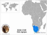 淮安春之宇网络科技有限公司