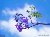 淮安春之宇网络科技有限公司