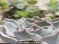 淮安春之宇网络科技有限公司