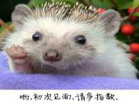 淮安春之宇网络科技有限公司
