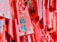 淮安春之宇网络科技有限公司