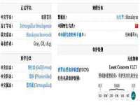 淮安春之宇网络科技有限公司