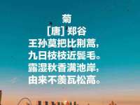 淮安春之宇网络科技有限公司