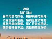 淮安春之宇网络科技有限公司