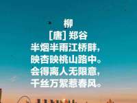 淮安春之宇网络科技有限公司