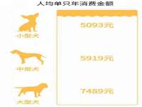 淮安春之宇网络科技有限公司