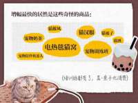 淮安春之宇网络科技有限公司