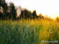 淮安春之宇网络科技有限公司