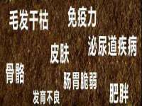 淮安春之宇网络科技有限公司