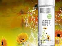 淮安春之宇网络科技有限公司