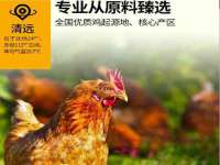 淮安春之宇网络科技有限公司