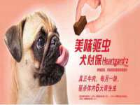 淮安春之宇网络科技有限公司