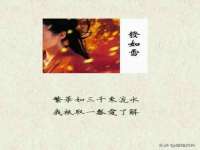 淮安春之宇网络科技有限公司
