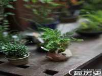 淮安春之宇网络科技有限公司