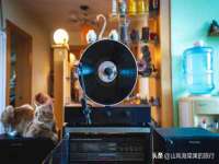 淮安春之宇网络科技有限公司