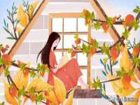 淮安春之宇网络科技有限公司