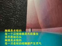淮安春之宇网络科技有限公司