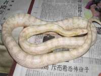 淮安春之宇网络科技有限公司
