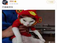 淮安春之宇网络科技有限公司
